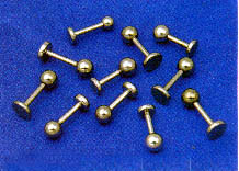 Labrel studs.jpg (20329 bytes)
